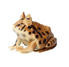 South American Horned Frog Animal Figure Toy PVC Doll Small Figurine Birthday