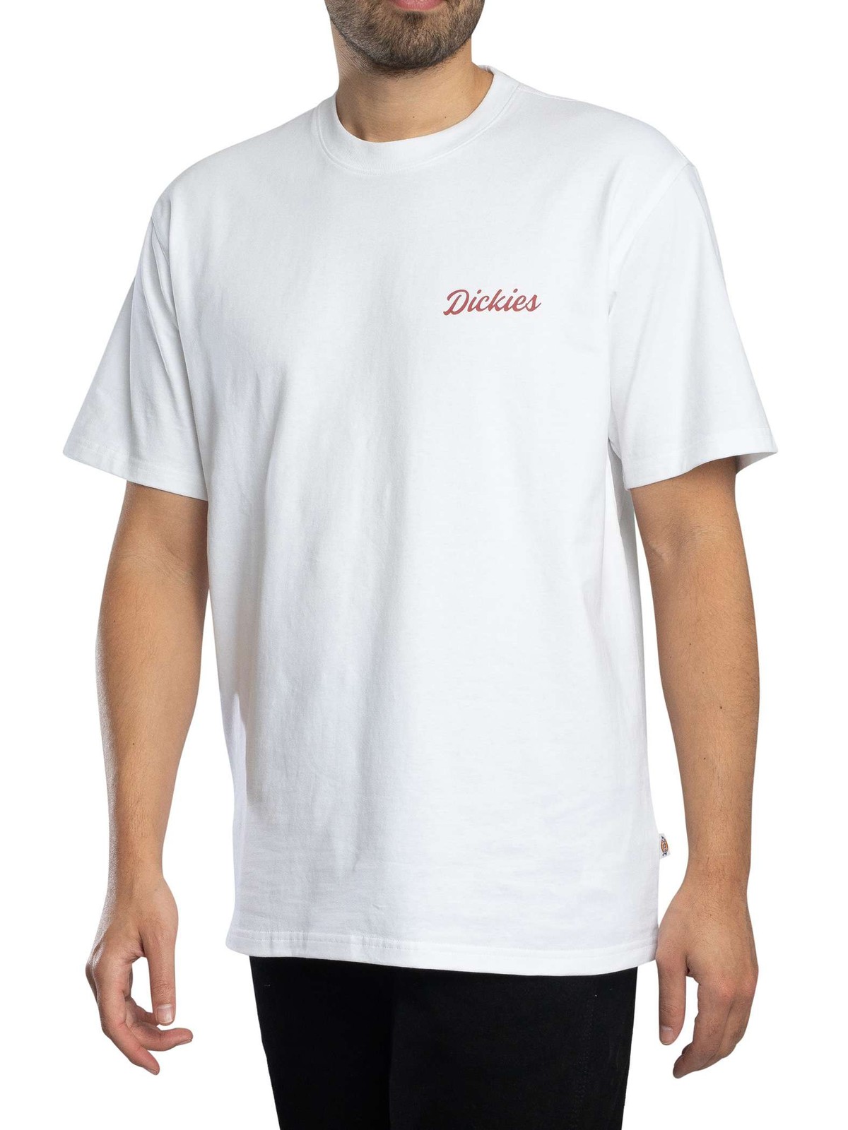 Dickies Wellsville 9690₽