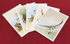Vintage Canberra Cruise Ship Menus David Kerr Birds Lot 1989 x5