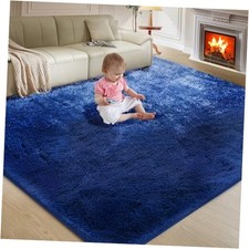 Ultra Soft Rug for Living Room, 5X8 Fluffy Shag Area Rug for Bedroom, Modern