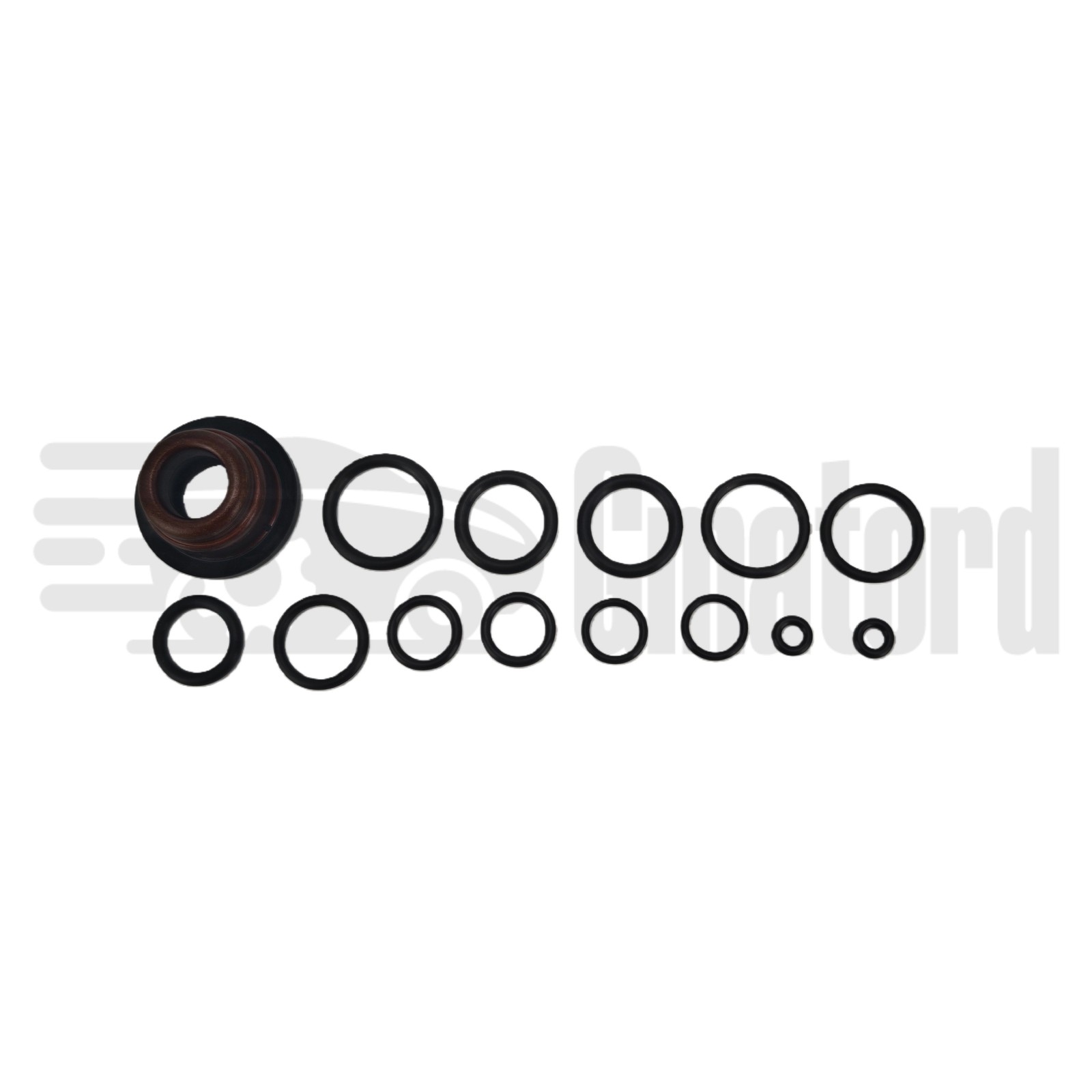 Audi R8 Piston P/N DQ500