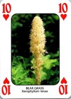 Bild 12 von 54