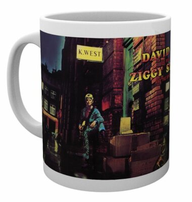 OFFICIAL DAVID BOWIE ZIGGY STARDUST COFFEE MUG CUP NEW IN GIFT BOX ABY