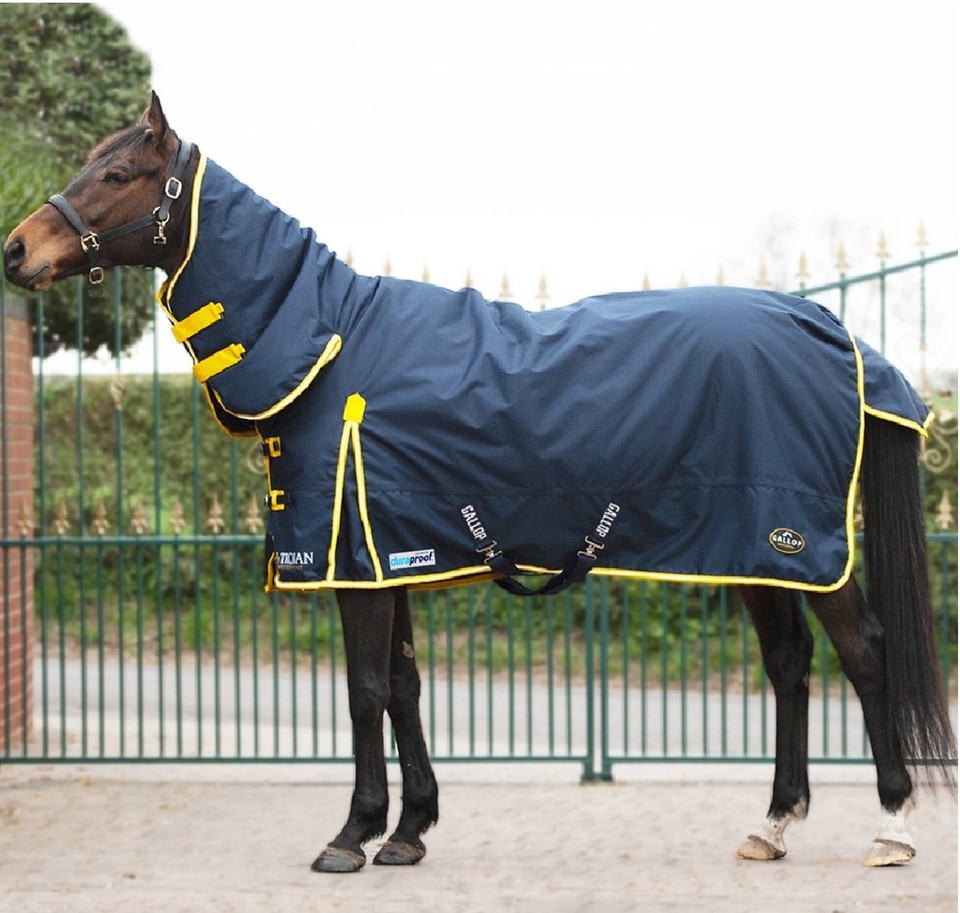 200g TURNOUT RUG Medium Weight Gallop Trojan Duraproof Full Neck Combo ...