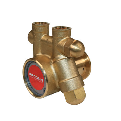 PROCON 101A125F11BD - 3/8'' NPT Brass Rotary Vane Pump Series 1