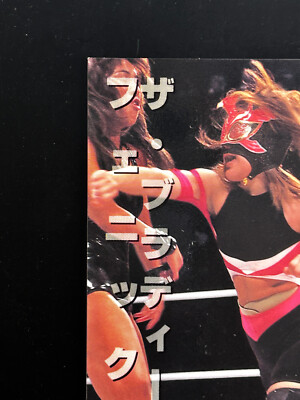 Bloody Phoenix Women's Pro Wrestling Card 325 Professional