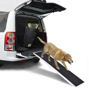 dog ramp for van
