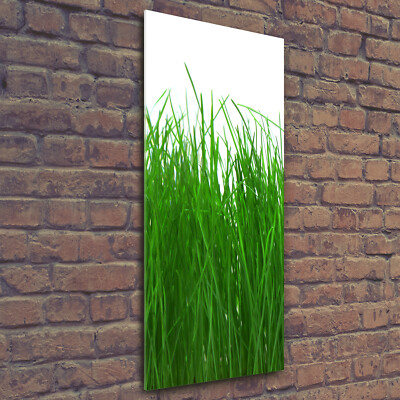 Wandbild Kunst-Druck auf Hart-Glas hochkant 50x125 Gras