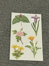Mrs. Grossman Retired Sticker Sheet ~ Studio Line Blooming Plants 3 Sheets