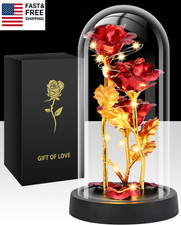 Valentines Day Rose Gifts for Her, Womens Gift for Birthday Gifts for Women Mo