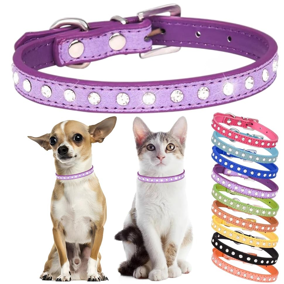 Occasione! Collare in Pelle e Strass per Cane e Gatto | Miglior Prezzo