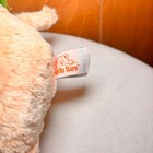 Bild 9 von 9