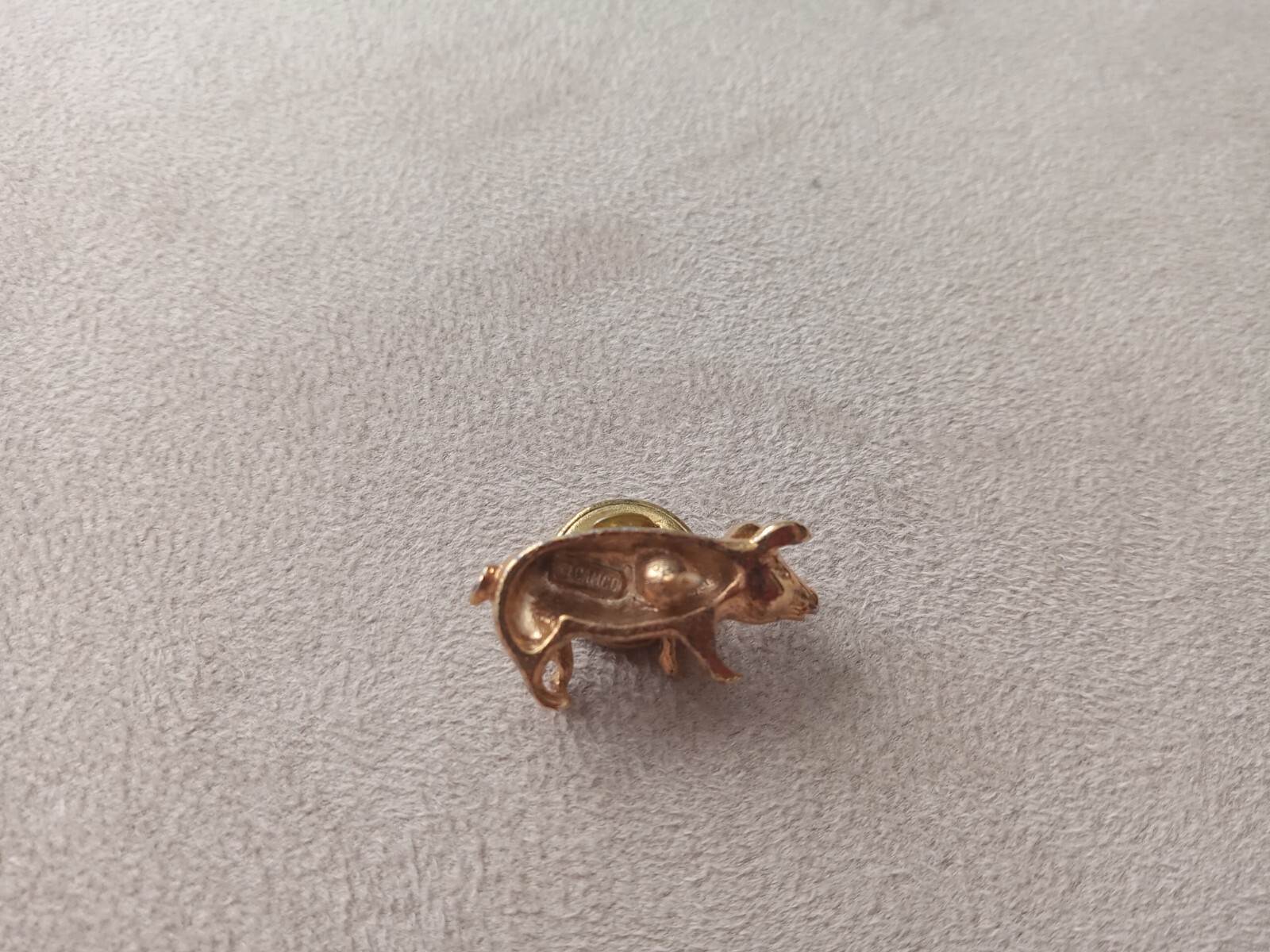 Picture 5 of 5