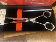 Mizutani Scissors ACRO Type-M Scissors 6.0 Inch Hair Cutting Shears Japan Used