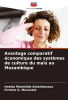Avantage Comparatif éConomique Des SystèMes De Culture Du MaïS Au Mozambique