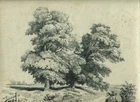 Trees in a Landscape - Original Antique Drawing