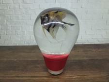 Underwater REAL Angelfish Angel Fish Manfish Gear Shift Knob Acrilyc Resin_a235