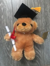 NWT Graduation Plush Bear Modern Expression