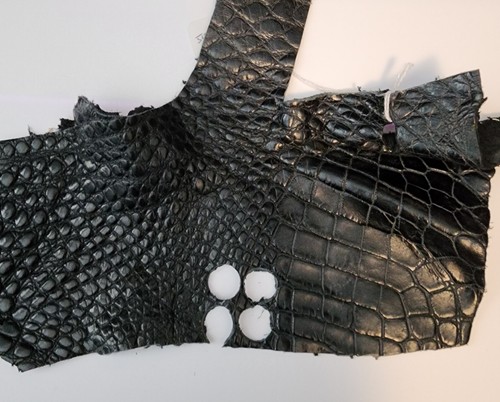 Gemelos inserta tu propia foto hágalo usted mismo - Imagen 3 de 15