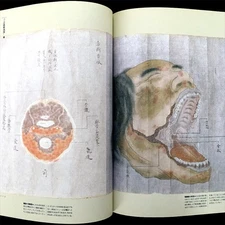 Hiroshi Aramata THE ART OF ANATOMY 1991 Medical Illustration Art book