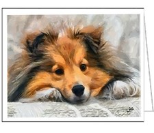 Sleepy Sheltie Fine Art Notecards Set of 6