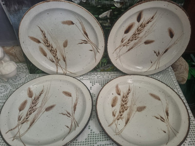 Four Midwinter Stonehenge Wild Oats Lg dinner plates 26cm in good vintage cond