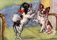 PAPILLON DOG GREETING CARD DOG NOTE CARD