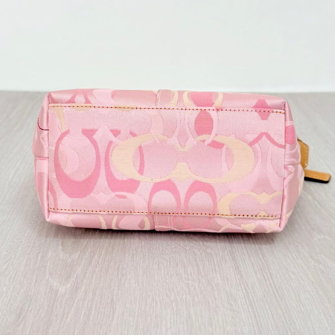 COACH Ladybug Pink Signature Pouch Rare Authentic From Japan | eBay