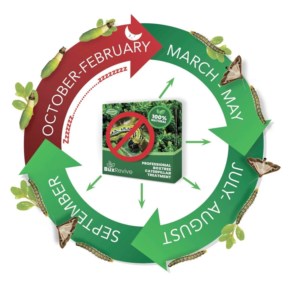 PlantPro Box Tree Moth Trap & 4x Pheromone Lures Reusable Catcher Protect Buxus - Image 2 of 4