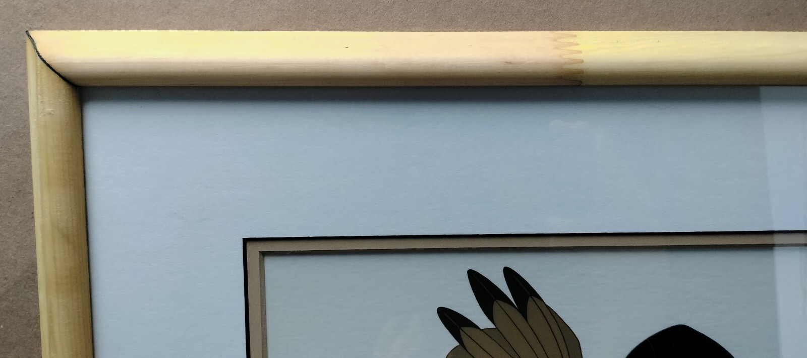 Picture 6 of 11