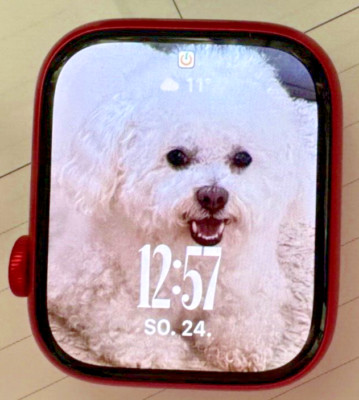 Apple Watch Series 8, 45mm, GPS * Cellular, ROT, sehr gut erhalten!