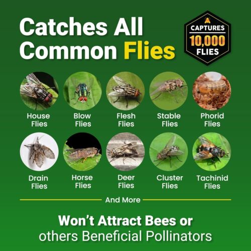 Mosquito Fly Catch Bag with Bait 10 Pack - Picture 5 of 8