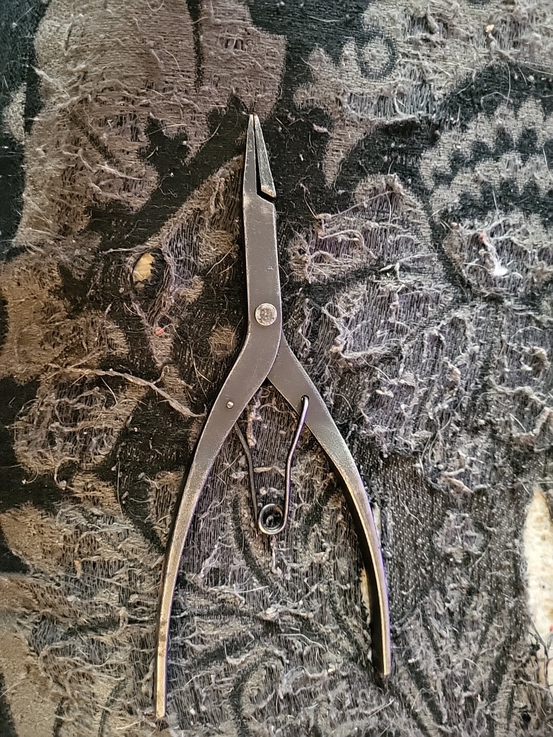 Picture 3 of 11