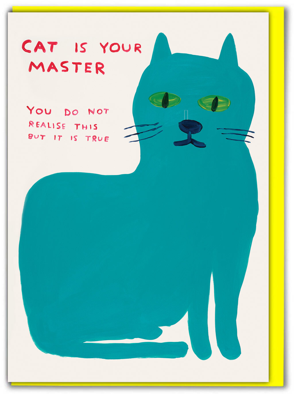 David Shrigley Birthday Greeting Card Hilarious Funny Comedy Humour Witty Cheeky