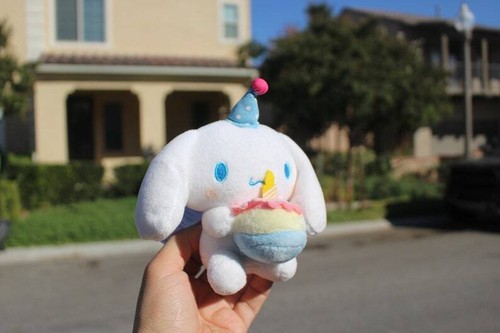Cinnamoroll Bouquet, Birthday Series, Sanrio Bouquet, Sanrio Gifts, Sanrio Plush - Picture 7 of 8