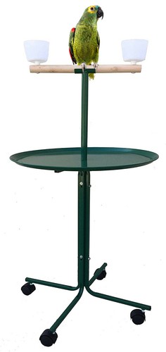 african grey play stand