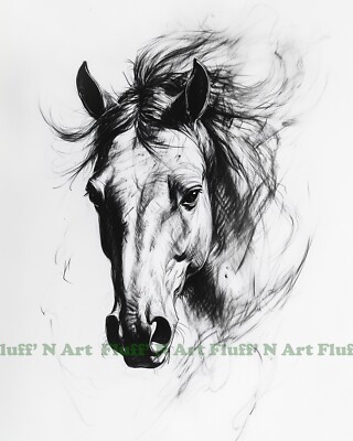 Horse Head Sketch Drawing Western AI Digital Image 11x14 Museum Grade Paper T9