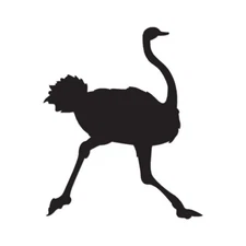Ostrich Running - Vinyl Decal Sticker - Multiple Color & Sizes - ebn492