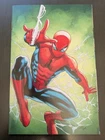 Amazing Spider-Man #1 (Marvel 2025) Greg Land 1:100 Virgin Variant! NM+ Beauty!!