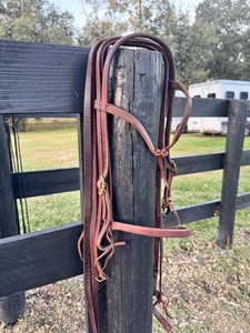Western Bridle -Latigo Futurity Bridle