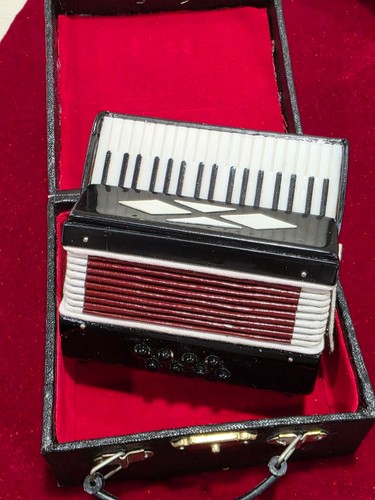 Vintage Minature Expandable Accordion in Case Novelty Decor