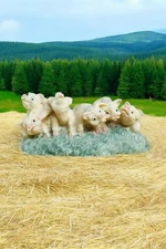 Vintage Artmark farm pigs resin 3-D fridge magnet