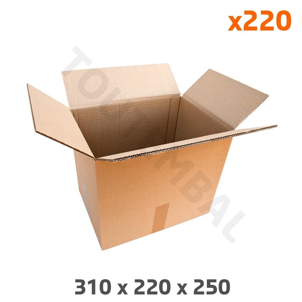 Carton double cannelure A4 310x220x250 boîte d'archivage solide