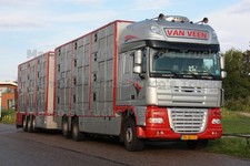Truck Photo DAF XF Livestock Transporter Netherlands Silver Van Veen #n7ci