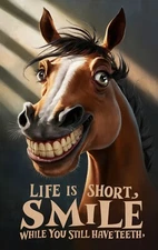 LIFE IS SHORT SMILE WHILE YOU STILL HAVE TEETH *2X3 FRIDGE MAGNET* QUOTE SAYING