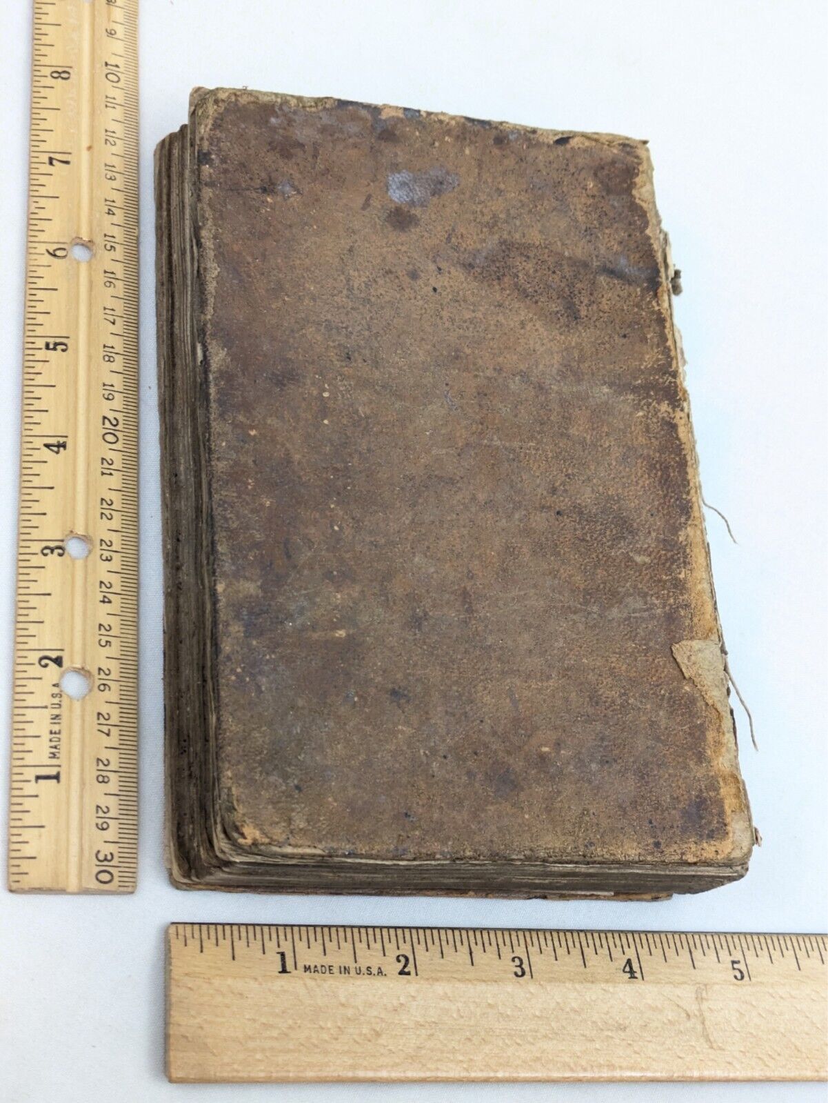 Picture 4 of 24