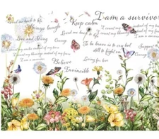 Redesign with Prima Cancer Awareness Transfer, New