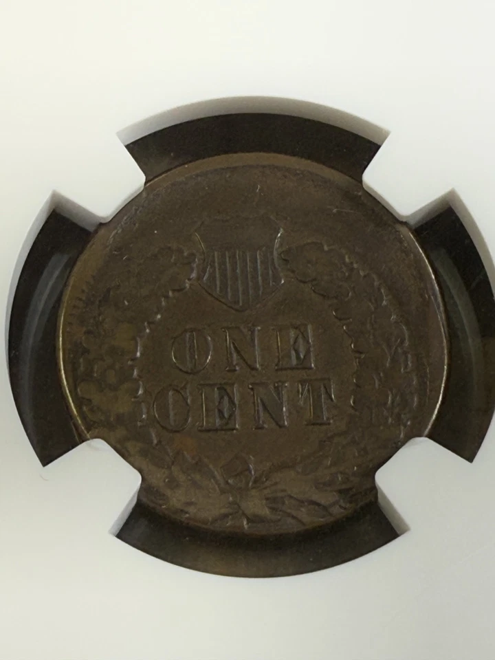 1887 1 CENT ERROR - NGC - VG 10 BN (STRUCK 15% OFF CENTER) - Image 4 of 4