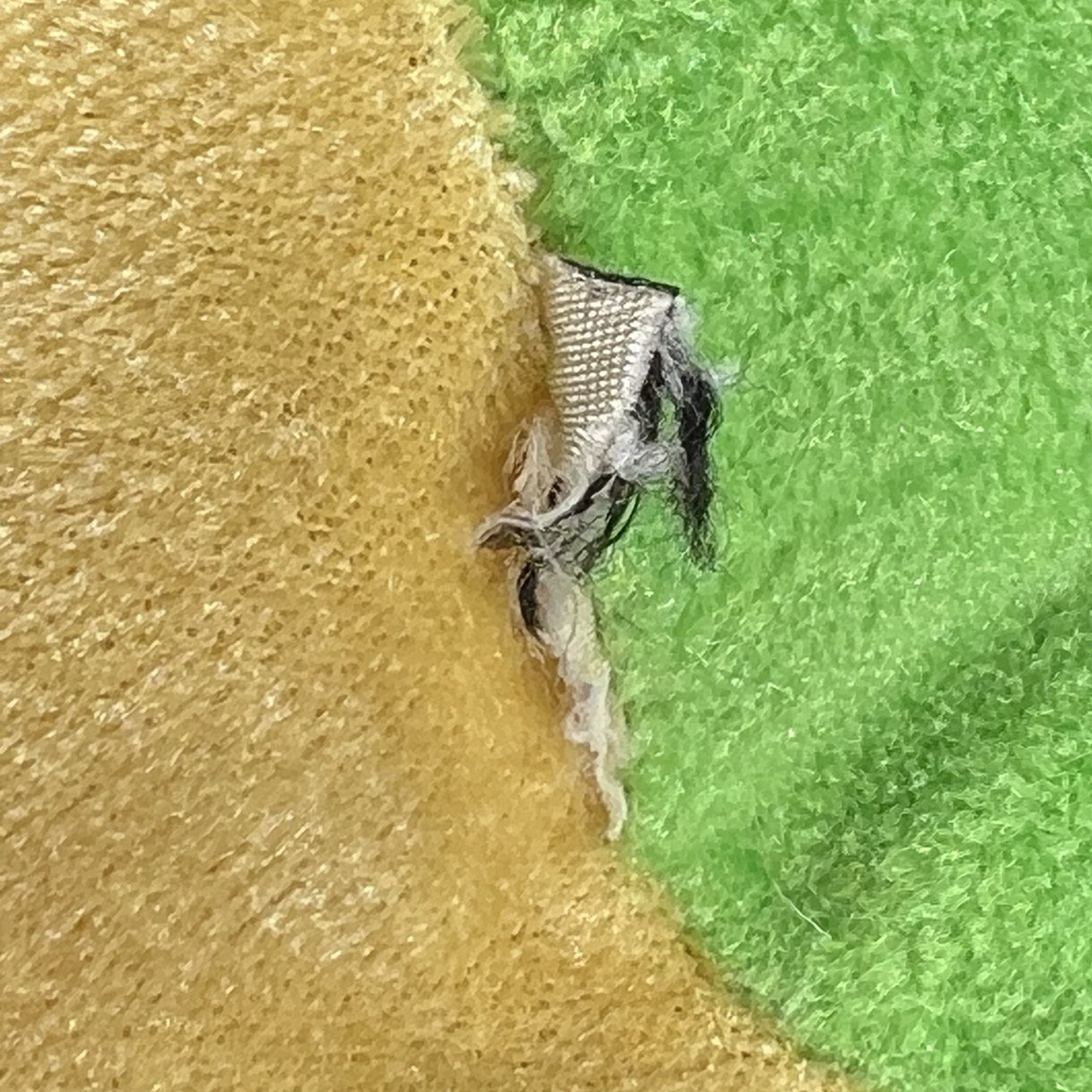 Picture 3 of 11