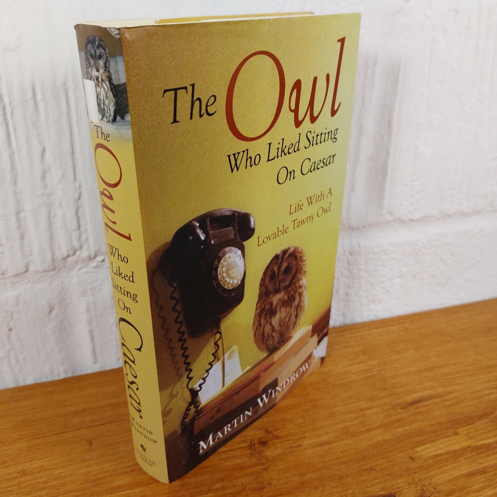 The Owl Who Liked Sitting on Caesar by Martin Windrow (Hardcover, 2014)